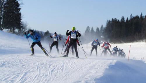 La Serre Nelly Philippe - Foto 2