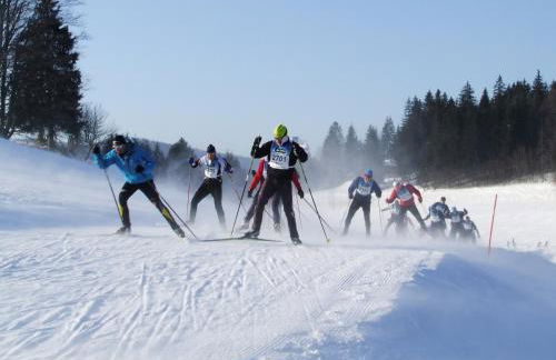 La Serre Nelly Philippe - Foto 2