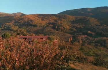 Complejo Rural Las Palomas - Foto 69