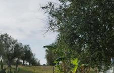 Lodge Rabasquinha - Photo 9