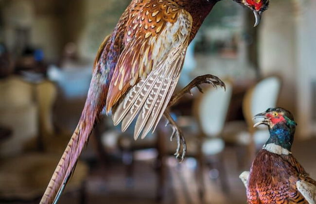 Relais Sant'Elena - Foto 23