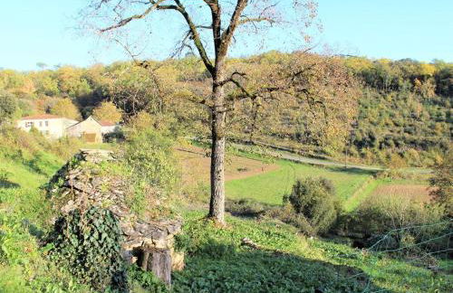 Charmant studio proche de Sarlat pour des vacances tranquilles - FR-1-616-25 - Foto 18