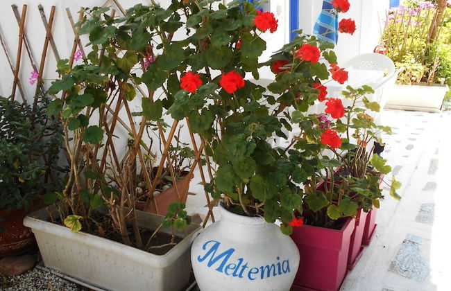 Meltemia Studio Samos With Pool - Foto 4