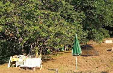 Maison à l'ancienne avec grand terrain , animaux bienvenus - Foto 79