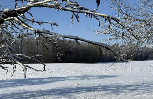 Ferienhaus am stillen Hain - Foto 6