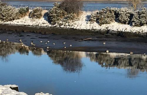 The Sheriffs Lodge - Photo 76