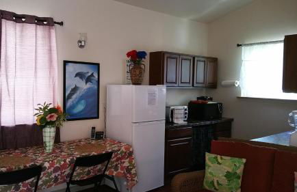 Oceanfront Cottage Near the Kalapana Lava Flows - Foto 29