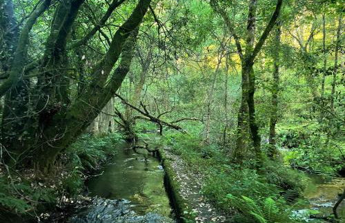 Casa vanguardista en el campo cerca de Santiago - Foto 23