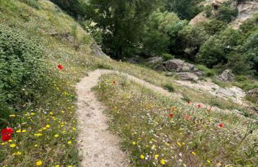 Alojamiento La Escalera - Photo 75