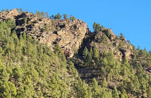 Casa Rural LOS PINARES El Juncal de TEJEDA - Foto 19