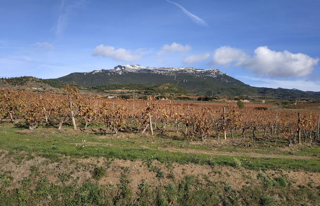 Casa Rural Osante - Photo 13