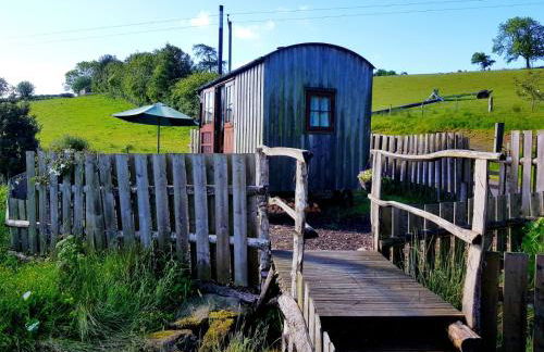 Cornflour Cozy Cabin Retreat - Foto 20