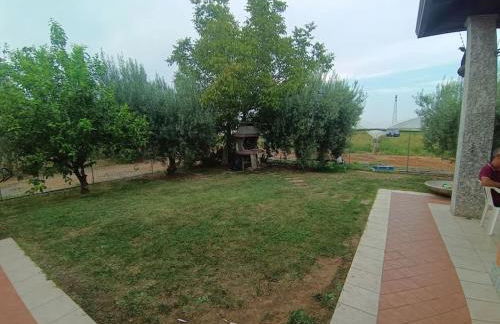 villa Toni - Photo 13