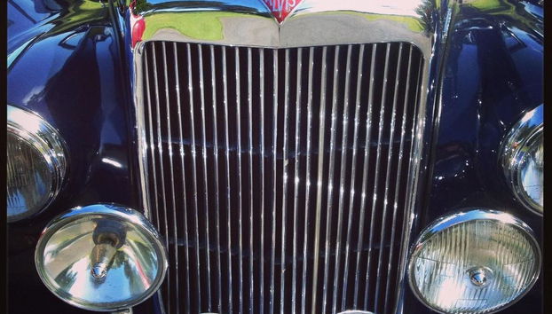 Elm Grove Country House - Foto 5