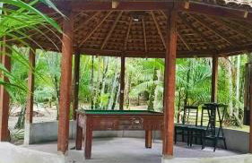 Chácara Bela Vista - Photo 47