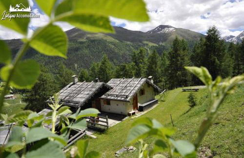 Baita Hanzel & Gretel by Livigno Accomodation - Photo 2