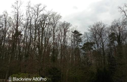 La Sablonnière de Rochefort - Foto 35