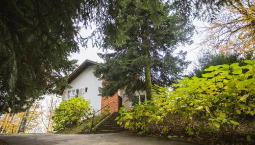 Old Chestnut Vacation Home - Foto 3