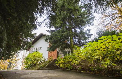 Old Chestnut Vacation Home - Foto 3