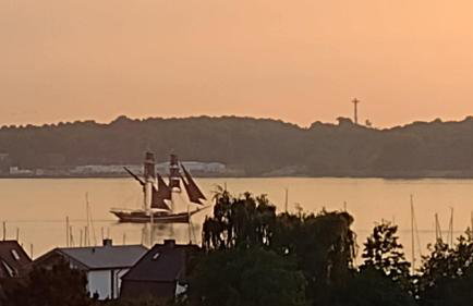 Schippkieker - Foto 21