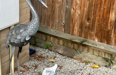 Beautiful&quite warehouse - Foto 33