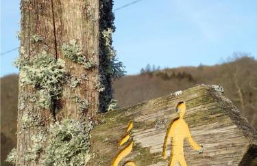 Stunning views of Ynyshir & Southern Snowdonia - Foto 26