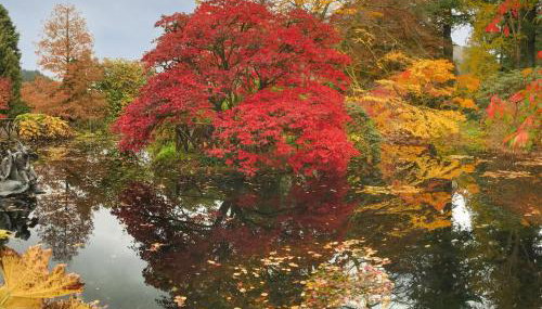 Pier Haven - Cottage - Photo 5