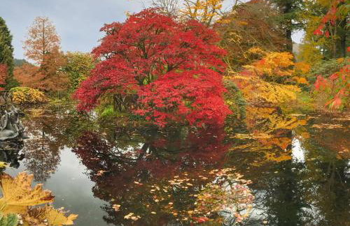 Pier Haven - Cottage - Foto 5