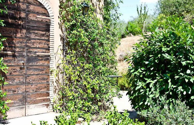 Agriturismo Terrasabina - Foto 43