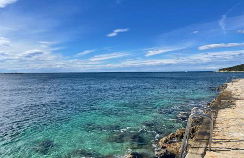 Istarska Vila - Foto 47