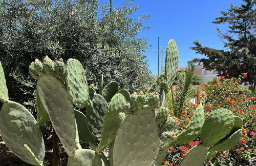 Triscina di Selinunte - Villa Disio a 50 m dal mare - Foto 18