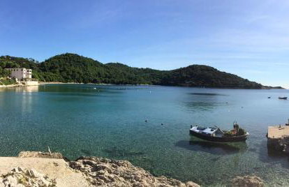 Apartments Pitarević - Photo 19