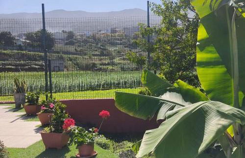 Casa Mamatina, en Los Realejos - Foto 12