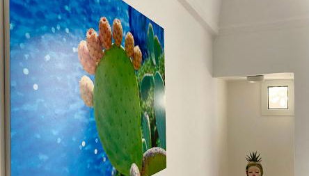 Dal Maestro Bed&Comfort - Foto 5