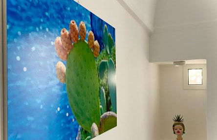 Dal Maestro Bed&Comfort - Foto 5