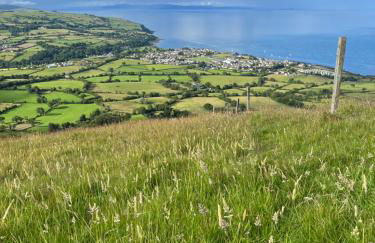 Tavnaghoney Cottages - Foto 50