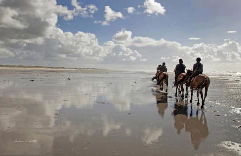 L Îlot de la Baie, super studio 4p face à la mer, parking gratuit, wifi, classé 2 étoiles à Fort Mahon Plage, Baie de Somme - Foto 23