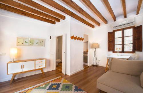 Canavall - Photo 112