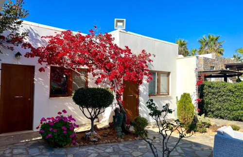 Kali Holiday Apartments - Foto 21