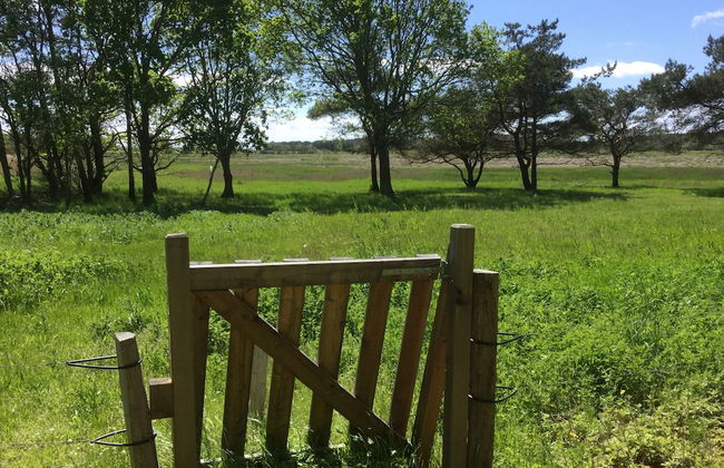 Pilegaarden - Foto 17