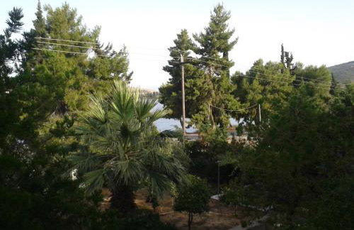 Elea Guesthouse - Photo 62