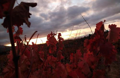 Apartamentos C&E - Photo 25