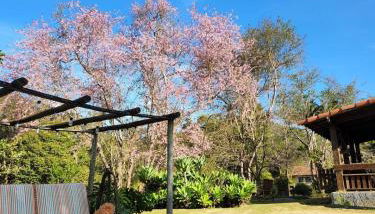 Casa de Campo Estância S & T - Foto 2