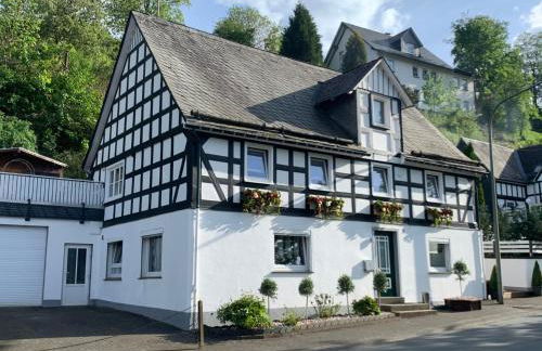 Ferienhaus Sauerland-Träume - Foto 1