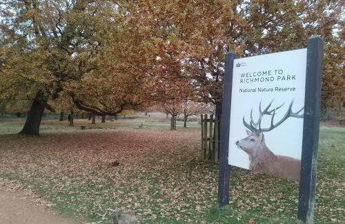 Beautiful apartment in London with Free Underground Parking - Foto 29