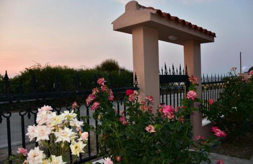 Salt and petals - Foto 52