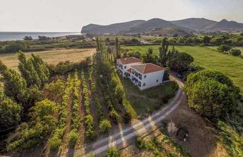 Eressos Ilios Apartments - Photo 2