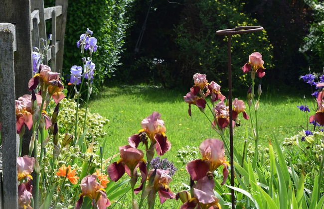 Sandhurst Farm Forge - Photo 13