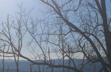 La Giuncaia - Photo 19