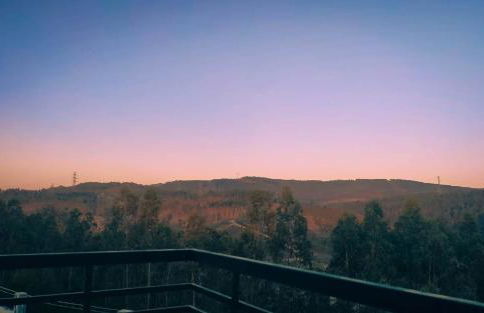 Eucalyptus Pink House - Photo 55